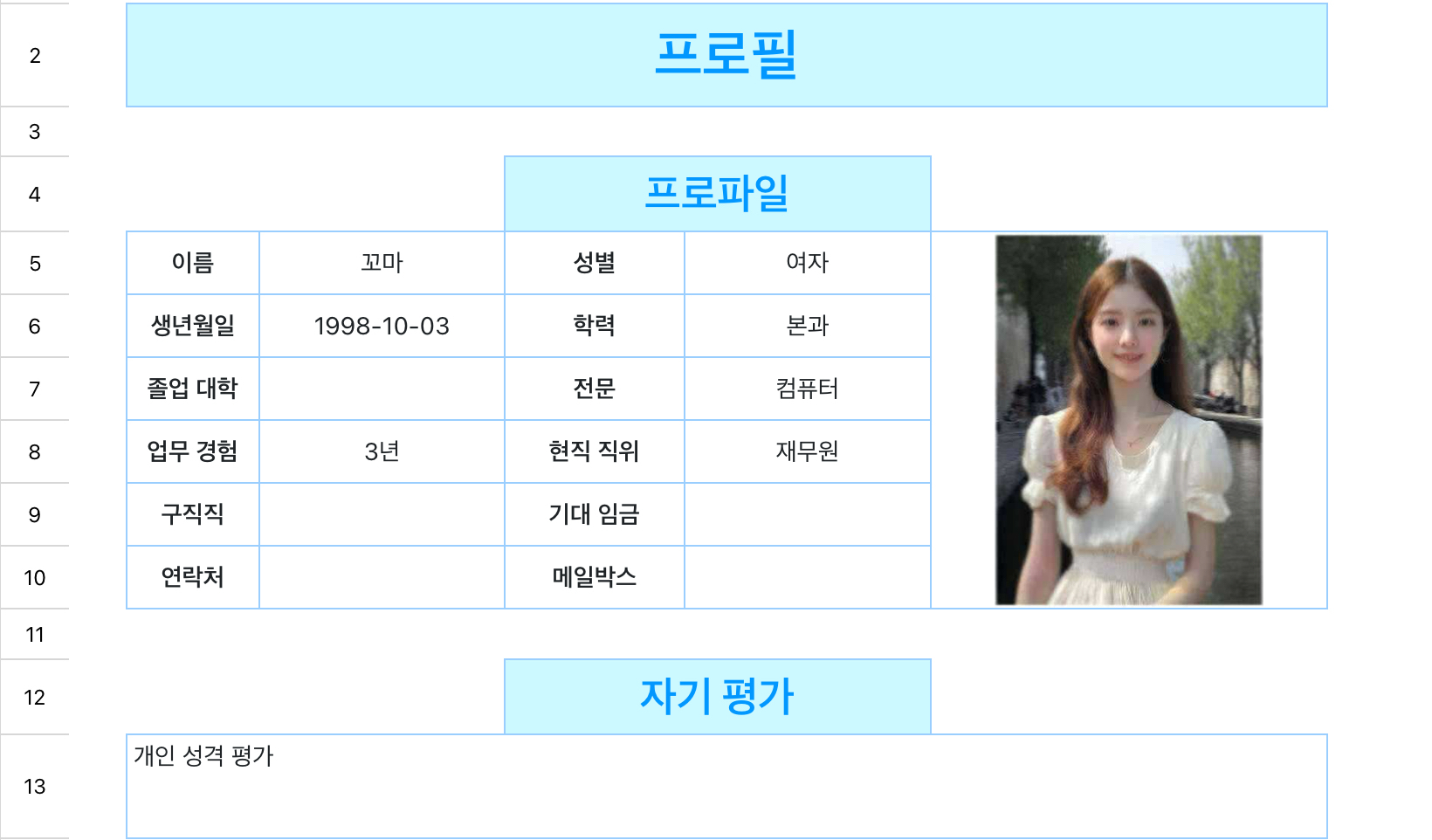 개인 구직 이력서 111